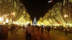 イルミネーション20111115