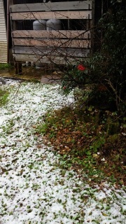 雪13